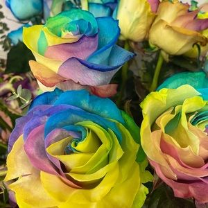 Meet your Posher, Bertha